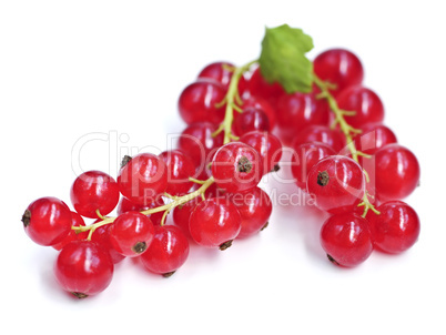 Red currants