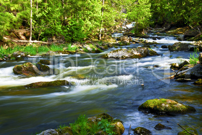 River through woods