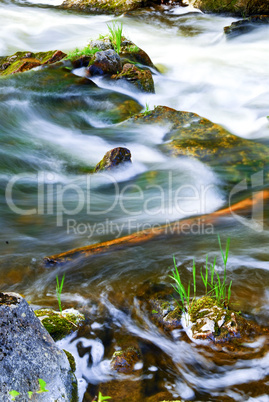 River through woods