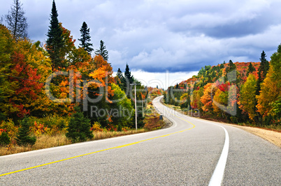 Fall highway