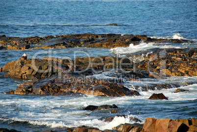 Rocks in ocean