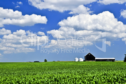 Rural landscape