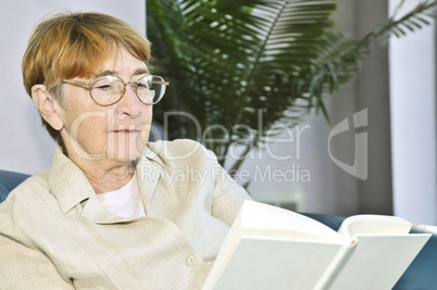 Old woman reading book