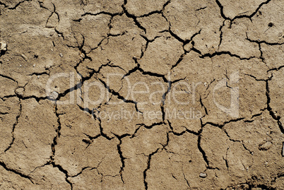 Dry soil background