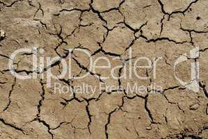 Dry soil background