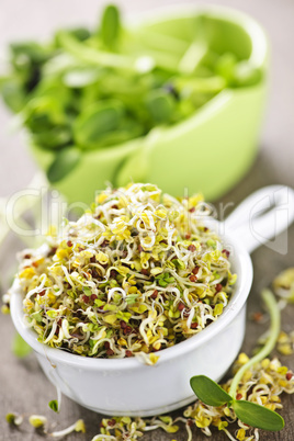 Sprouts in cups