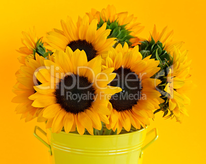 Sunflowers in vase