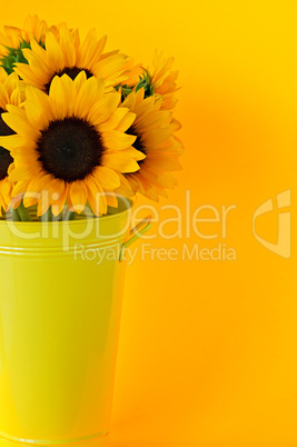 Sunflowers in vase