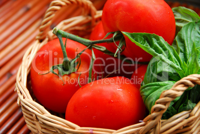 Tomatos and basil