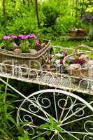Flower cart in garden