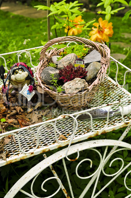 Flower cart in garden