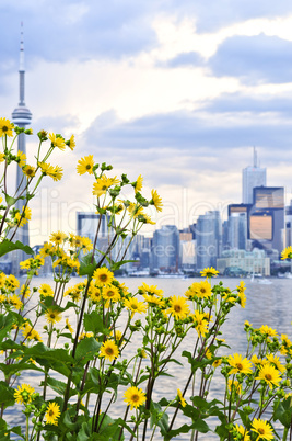 Toronto skyline