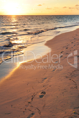 Footprints on sandy beach at sunrise