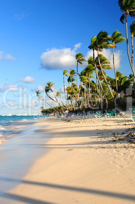 Tropical beach