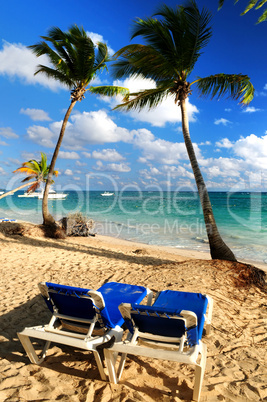 Sandy beach of tropical resort