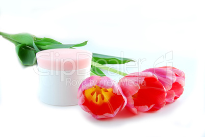 Tulips and cream