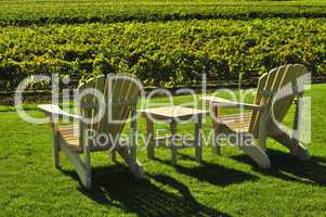 Chairs overlooking vineyard