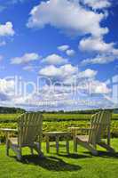 Chairs overlooking vineyard