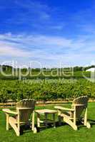 Chairs overlooking vineyard