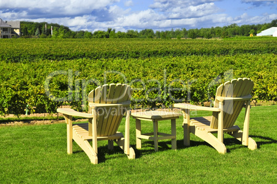 Chairs overlooking vineyard