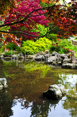 Pond in zen garden