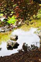 Pond in zen garden
