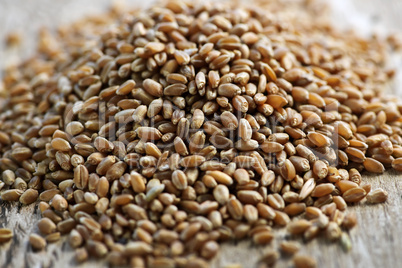 Whole grain wheat kernels closeup