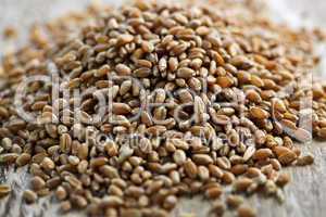 Whole grain wheat kernels closeup