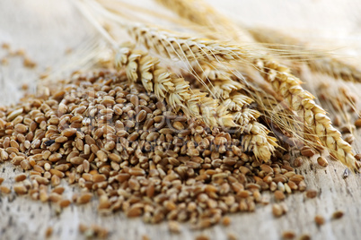Whole grain wheat kernels closeup