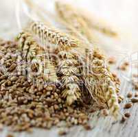 Whole grain wheat kernels closeup