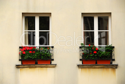 Windows with planters