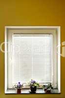 Window blinds