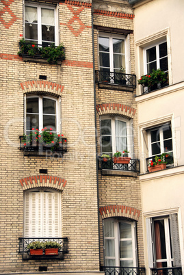 Paris windows