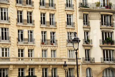 Paris windows