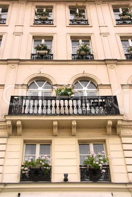 Paris windows