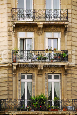 Paris windows