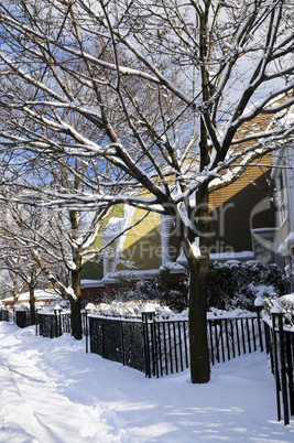 Winter street