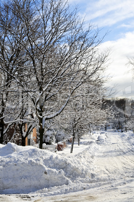 Winter street