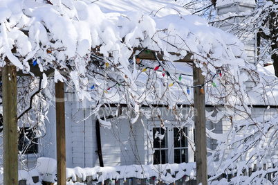 Front yard of a house in winter