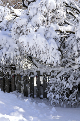 House fence in winter