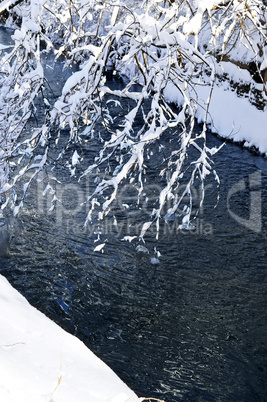 Winter landscape