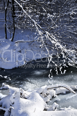 Winter landscape