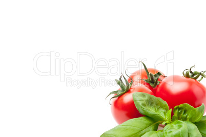 Tomate / Basilikum