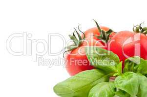 Tomate / Basilikum