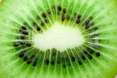 Fresh kiwi