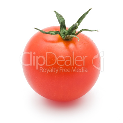 Tomato