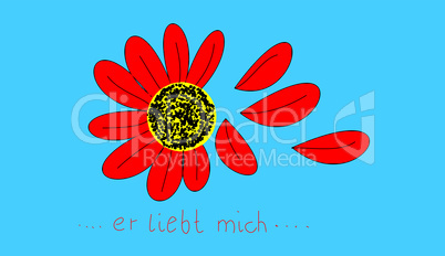 blüte