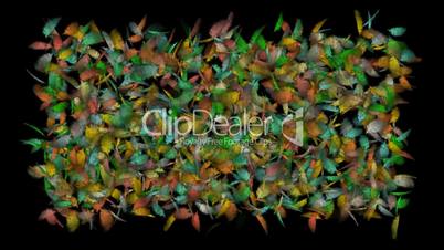 color gorgeous feather background.cotton,catkins,confusion,poultry,birdflu,Winds,cyclones,leaves,spores,particle,Design,pattern,symbol,idea,creativity,creative,vj,beautiful,decorative,mind,Game,Led,neon lights,modern,stylish,dizziness,romance,romantic,Fir