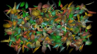 color gorgeous feather background.cotton,catkins,confusion,poultry,birdflu,Winds,cyclones,leaves,spores,particle,Design,pattern,symbol,idea,creativity,creative,vj,beautiful,decorative,mind,Game,Led,neon lights,modern,stylish,dizziness,romance,romantic,Fir