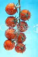 cherry tomato in bubbles